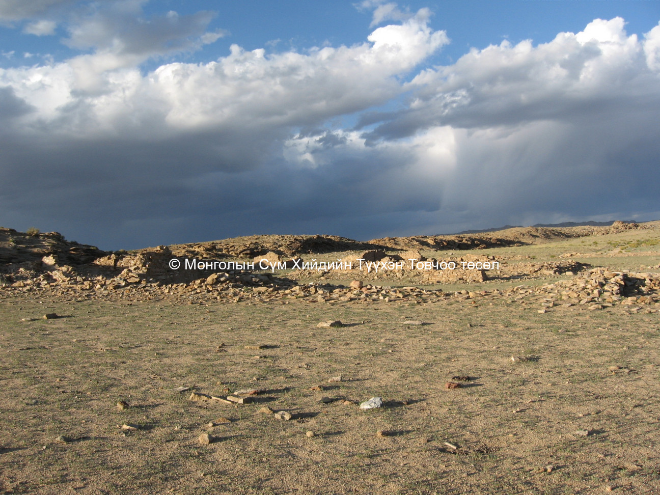 Баруун талаас авсан